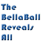 BellaBall Magic 8 Ball