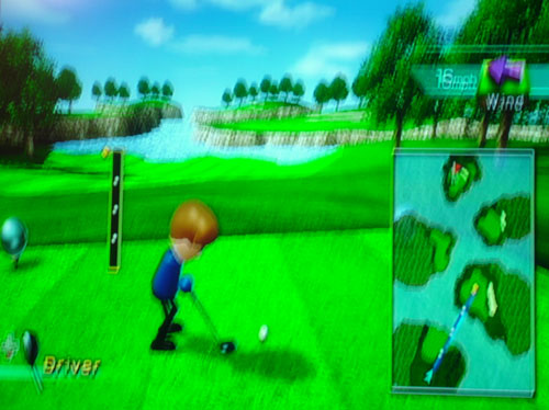 Nintendo Wii Golf