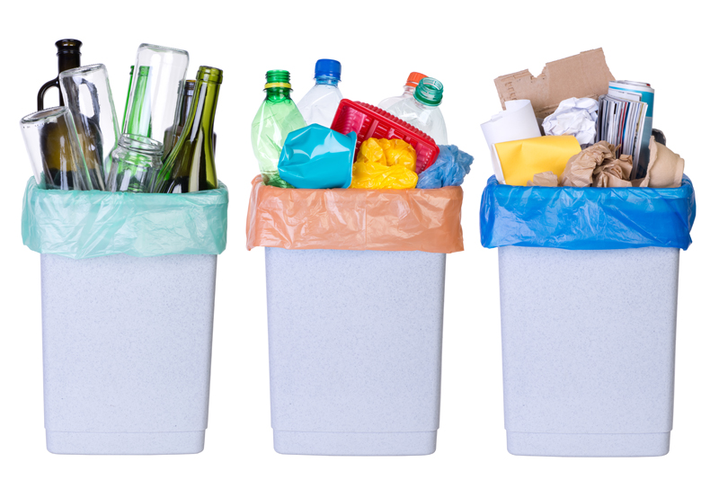 Colorful Picnic Accessories
