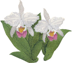 sunnysueappliqueandquilting | Applique, quilting, embroidery sunnysueappliqueandquilting | Applique, quilting, embroidery