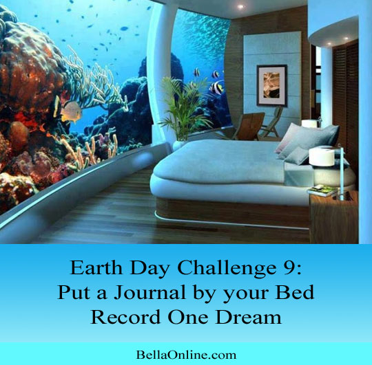 Remember One Dream - Earth Day Challenge
