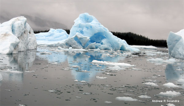 Prince William Sound Iceflow by Andrew R Sciandra
