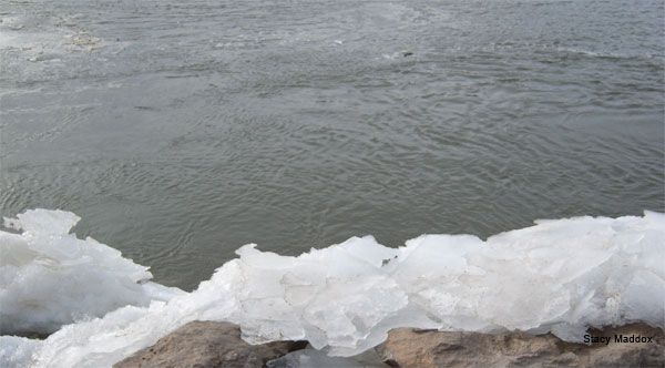 Road Of Ice by Stacy Maddox