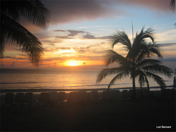 Jamaica Sunset by Lori Bernard