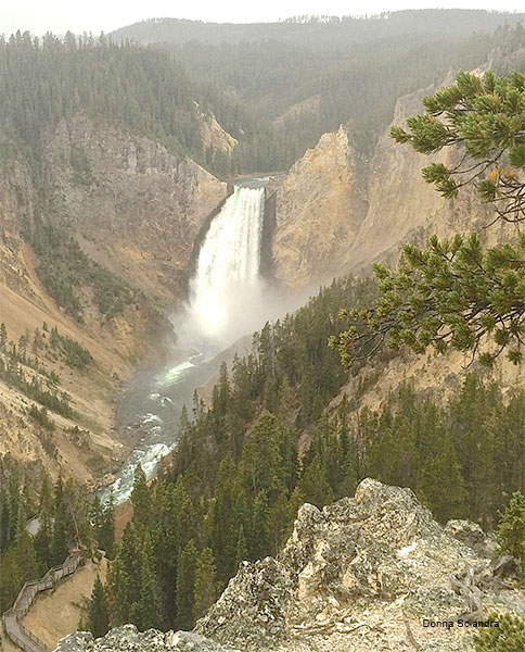 Yellowstone Falls by Donna Sciandra