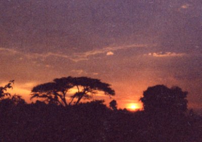 African Landscapes Postcards African Landscapes Postcards