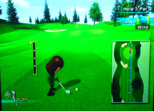 Nintendo Wii Golf