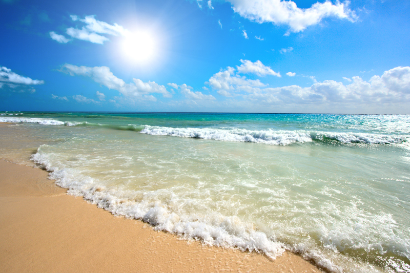 Cleaning The Beach