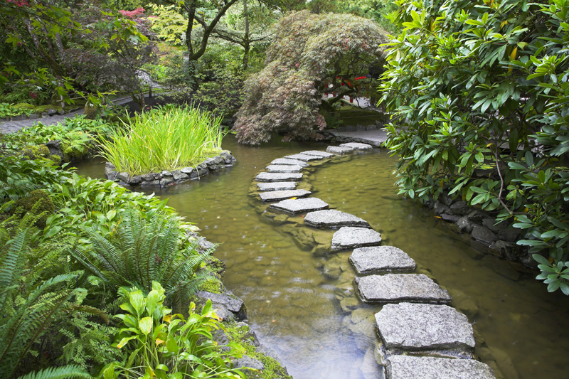 Additional Perennials For Damp Sites