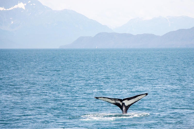 Break-Up In Alaska