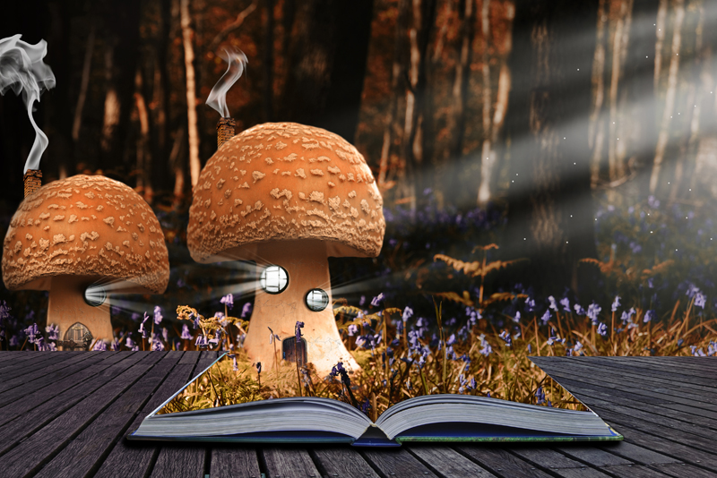 Children's Magic Tree House Adventure Books