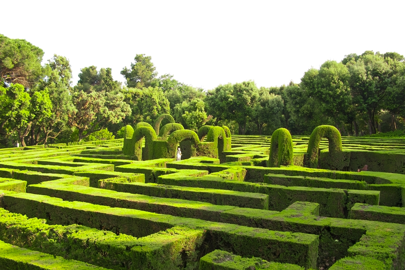 English Garden Shrub Jigsaw Puzzle