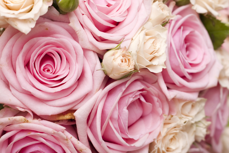 Get Romantic with Floral Fragrance Combinations