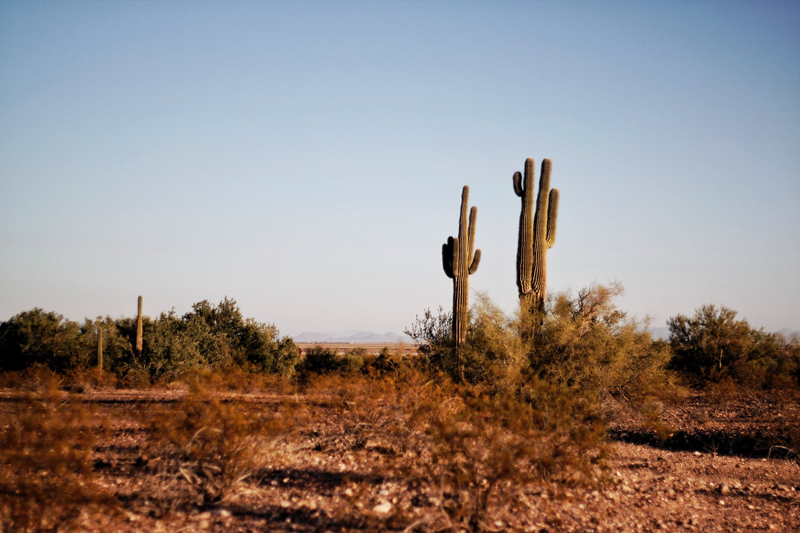 Outdoor Living in the Desert Southwest