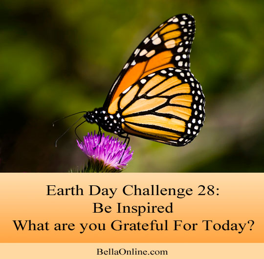What are you Grateful For Today? - Earth Day Challenge