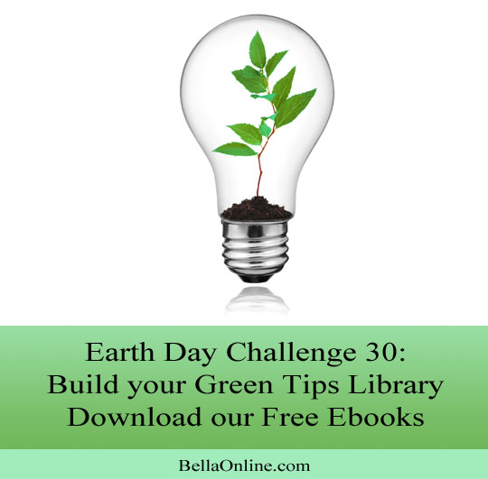 Download Free Green Tips Ebooks - Earth Day Challenge