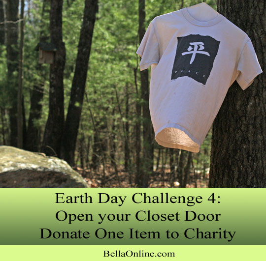 Donate One Item to Charity - Earth Day Challenge