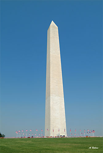Washington Monument by Albert Rollins