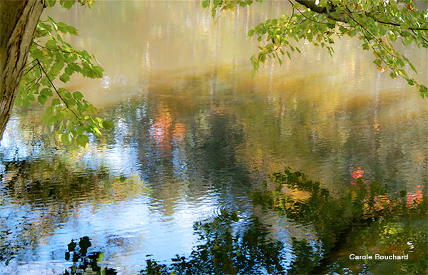 Perrins Pond Lunenburg MA by Carole Bouchard