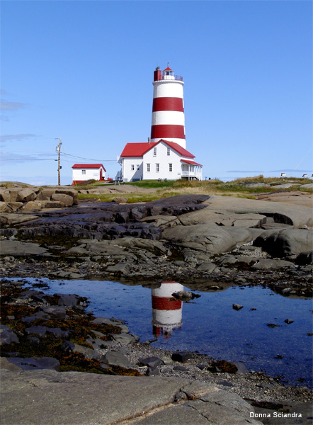 Donna Sciandra Lighthouse
