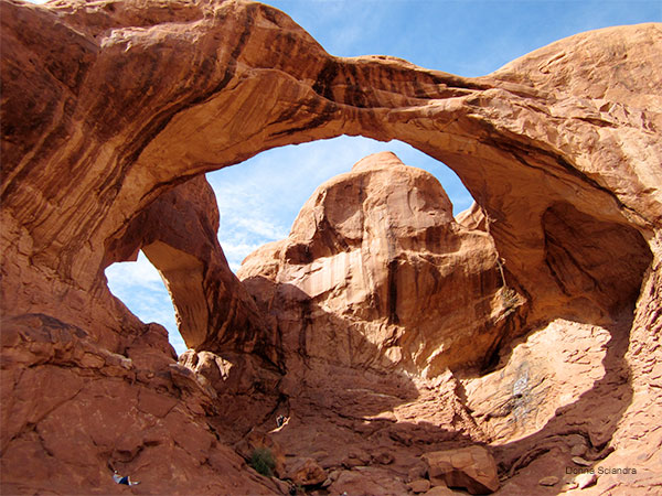 Arches, Utah by Donna Sciandra