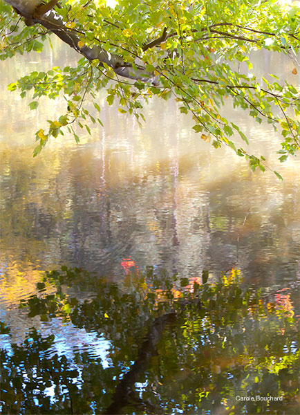 Lunenburg Pond by Carole Bouchard